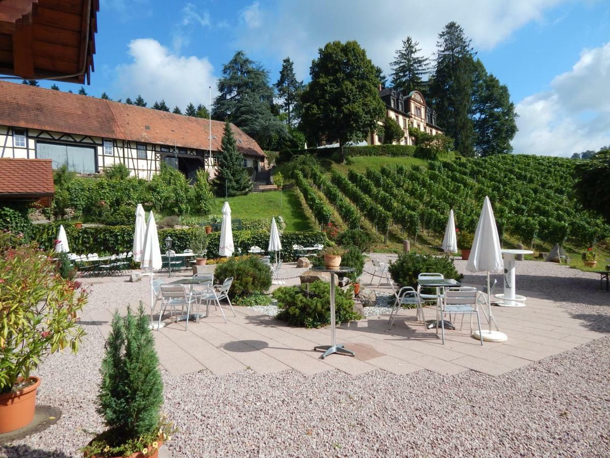 Wein - Josephsberg 2 Durbach